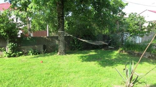 Батуми: Guest House Adlia 14