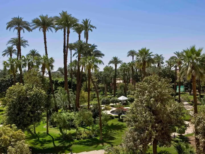 Луксор: Sofitel Winter Palace Luxor