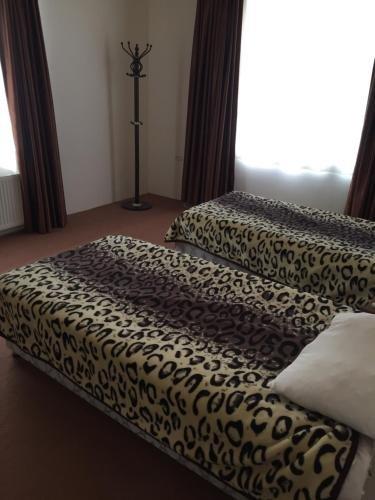 Ленкорань: Hostel