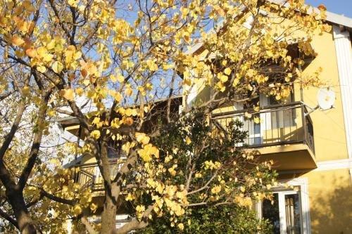peaceful yellow hostel with garden — фото 5