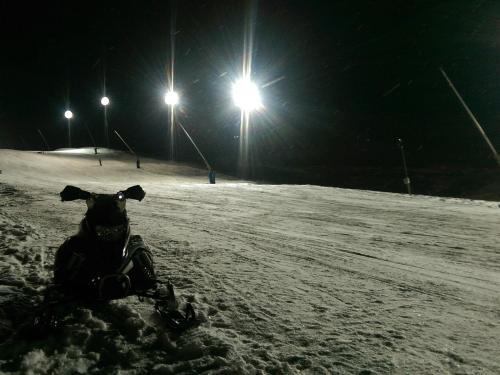 Гудаури: Nightski Room Gudauri Hotel Loft