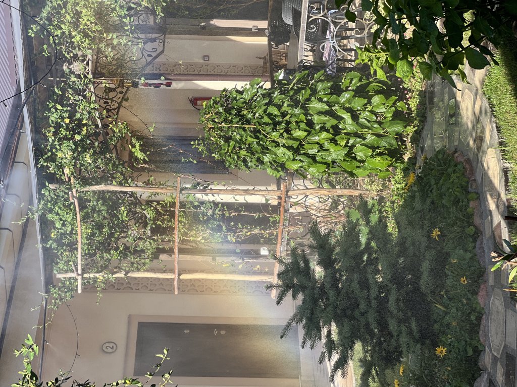 Ташкент: Отель Zahid Inn