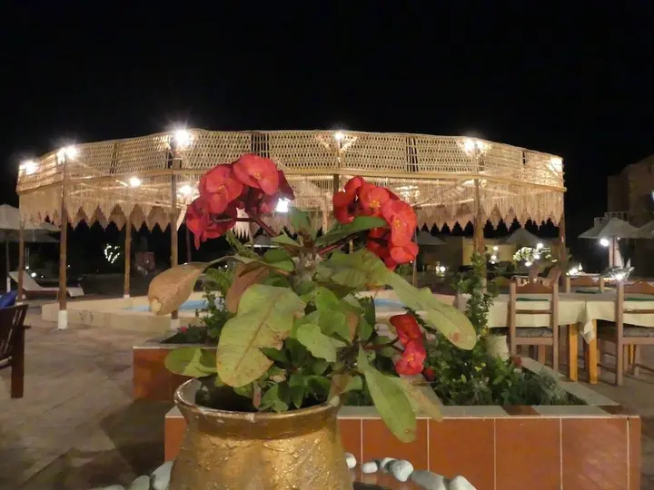Эль-Кусейр: Fanadir Resort