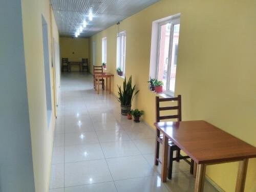 Ташкент: European Backpacker & Sakura Hostel