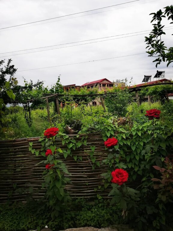 Телави: Twins Wine Cellar