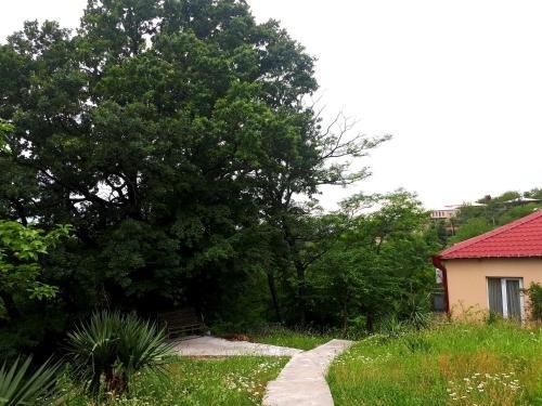 Кутаиси: Guest house LIA
