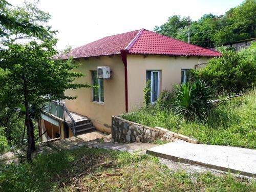Кутаиси: Guest house LIA