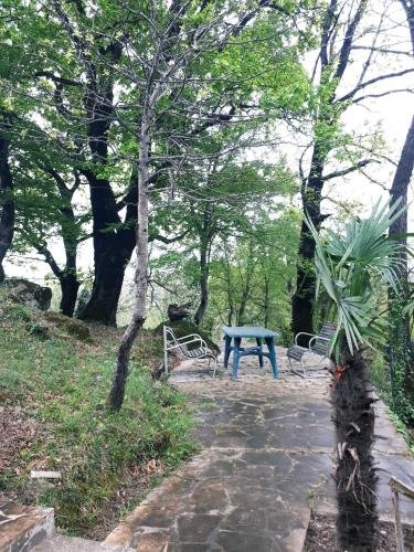 Кутаиси: Guest house LIA