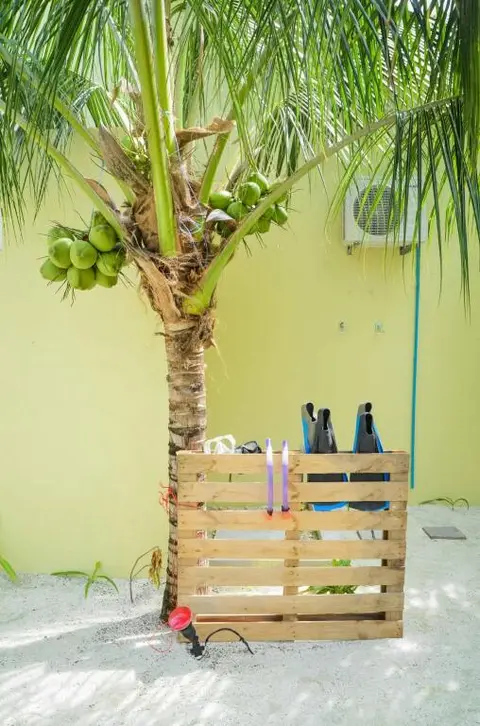 Атолл Алиф-Дхаалу: Whale Shark Inn Maldives