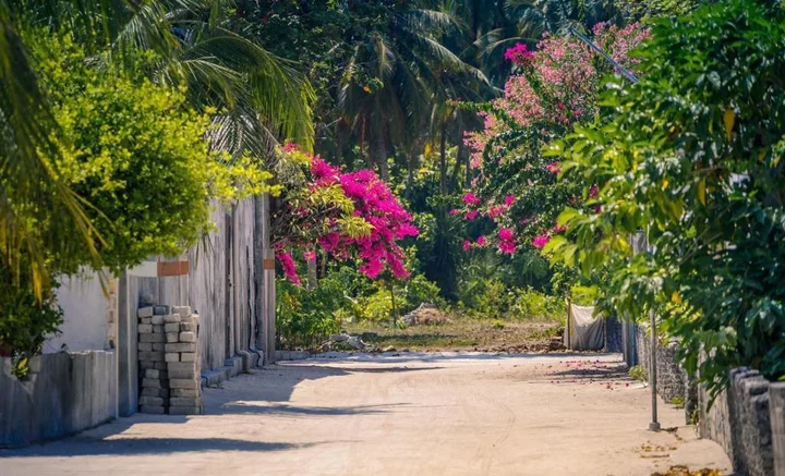 Атолл Баа: Fehendhoo Stay