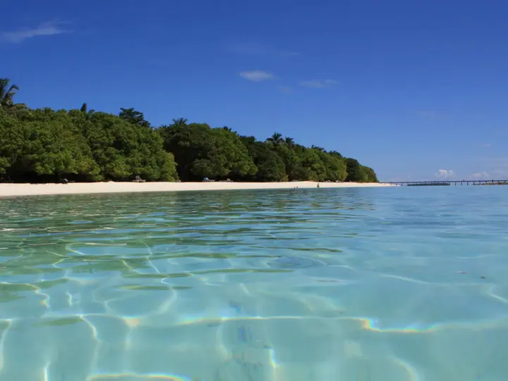 Атолл Баа: Fehendhoo Stay