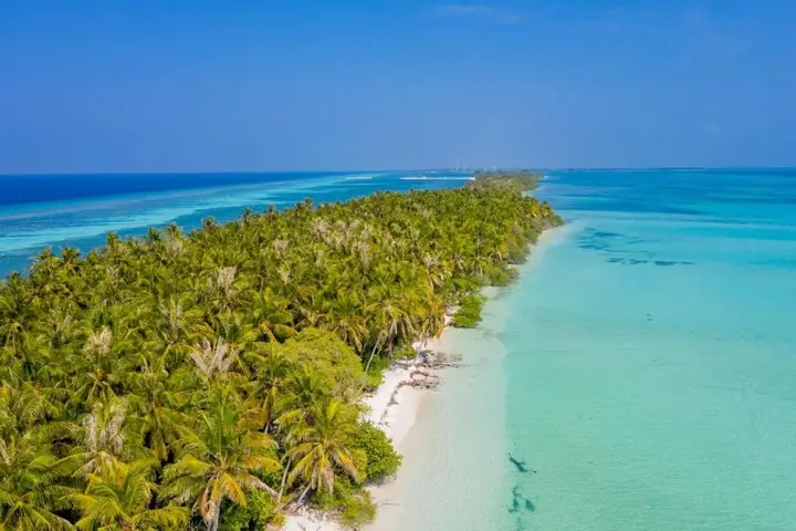 Fehendhoo Stay — фото 2