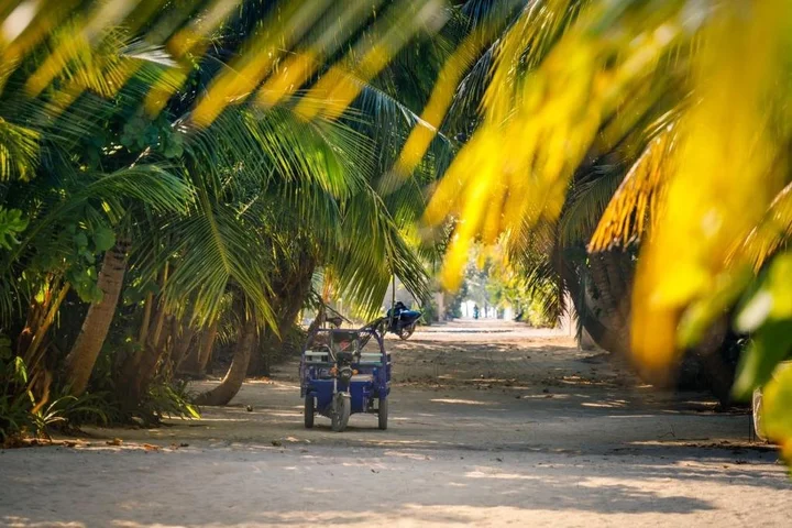 Атолл Баа: Fehendhoo Stay
