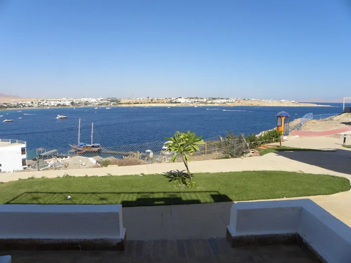 Шарм-эш-Шейх (Шарм-эль-Шейх): Halomy Naama-Bay Hotel