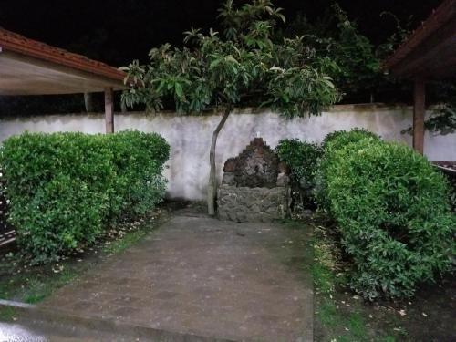 Кобулети: Guesthouse v Kobuleti