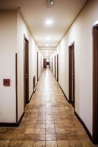 Бакуриани: Триалети Палас