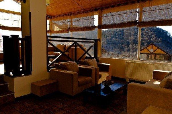 Бакуриани: Триалети Палас
