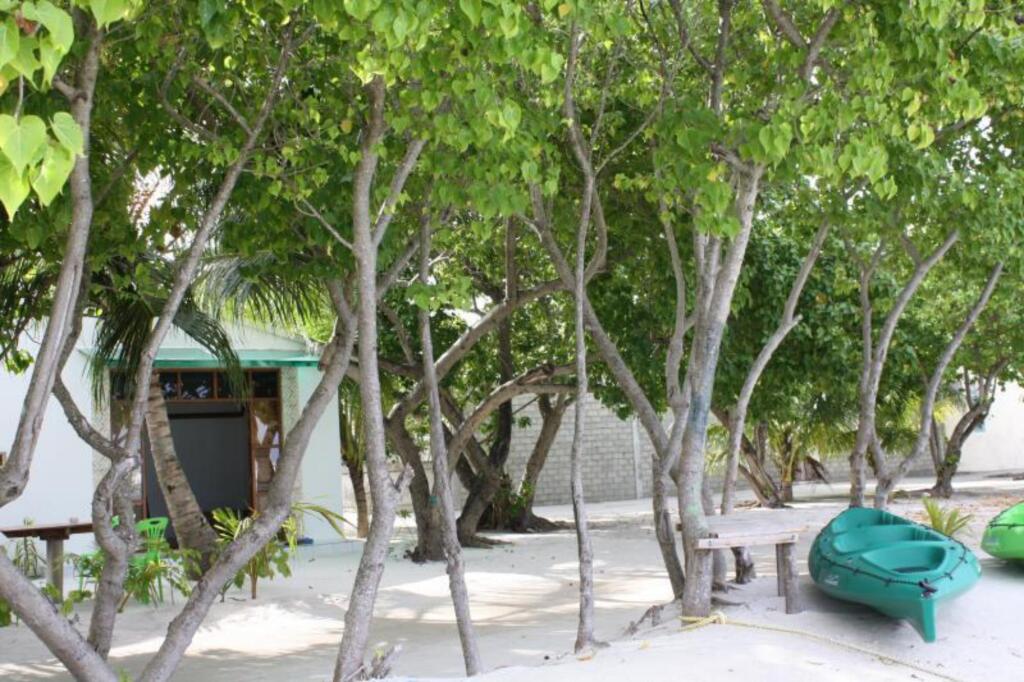Гураиду (Атолл Каафу): Ithaa Beach Maldives 