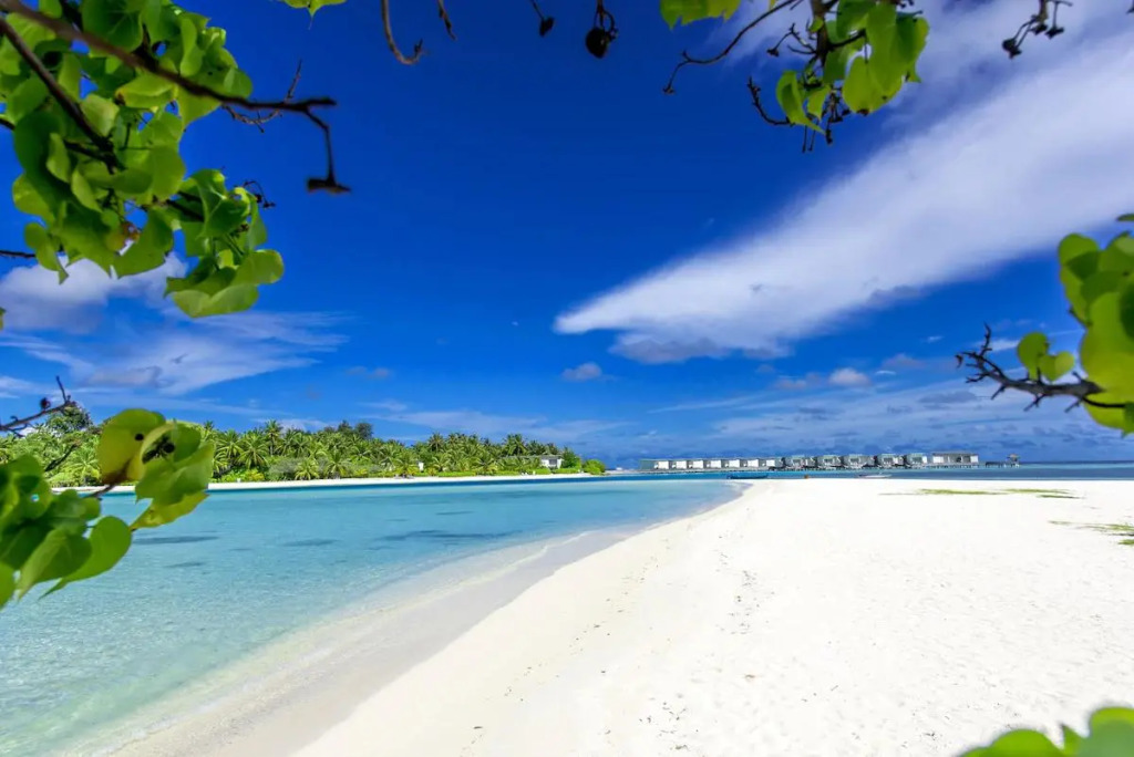 Гураиду (Атолл Каафу): Ithaa Beach Maldives 