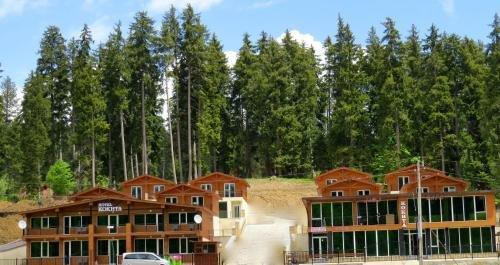 Бакуриани: Hotel Kokhta Apartments