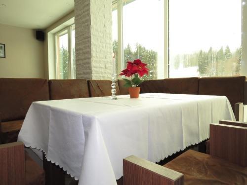 Бакуриани: Hotel Kokhta Apartments