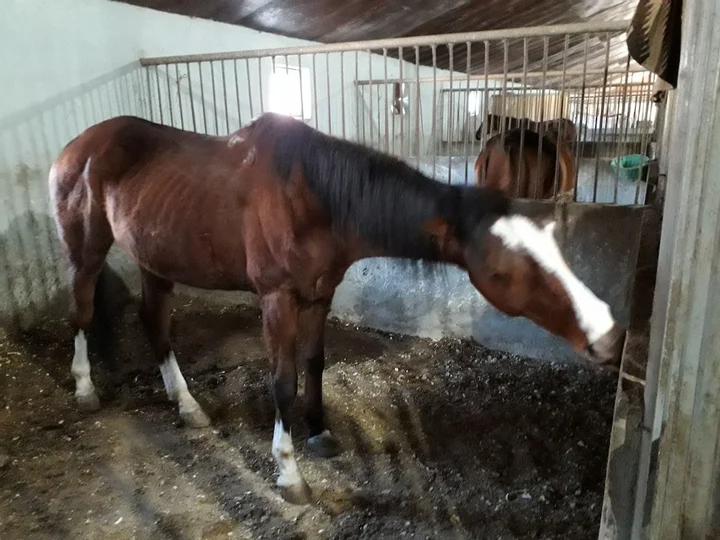 Тбилиси: Hotel Ivertubani