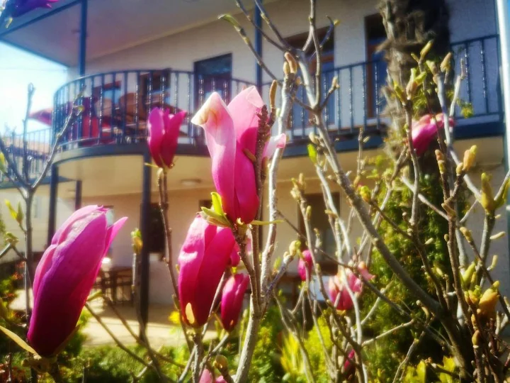 Кутаиси: Hostel Sadu Kutaisi