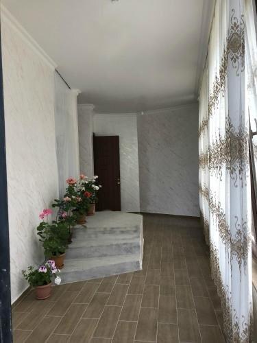 Батуми: Zura's Guest House