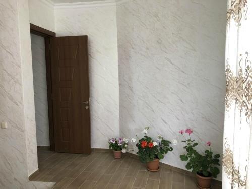 Батуми: Zura's Guest House