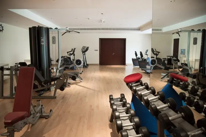 Дубай: Luxurious apartment in The Palm