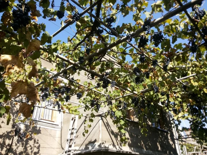 Гори: Svetlana Guest House