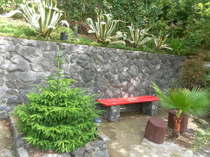 Батуми: Гостевой дом Holiday House Green Cape Batumi