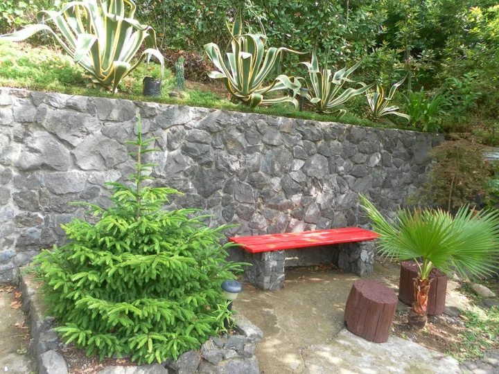 Батуми: Гостевой дом Holiday House Green Cape Batumi