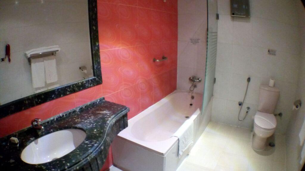 Гиза: Zayed Hotel