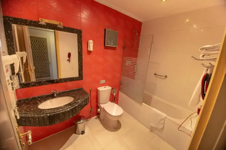 Гиза: Zayed Hotel