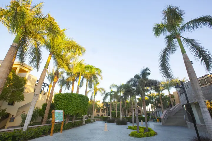 Хургада: Курортный отель Stella Gardens Resort & Spa - Makadi Bay - All inclusive