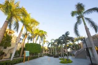 Хургада: Курортный отель Stella Gardens Resort & Spa - Makadi Bay - All inclusive
