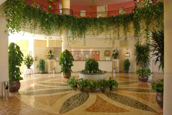 Шарм-эш-Шейх (Шарм-эль-Шейх): Luna Sharm