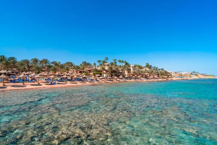 Шарм-эш-Шейх (Шарм-эль-Шейх): Tamra Beach Resort