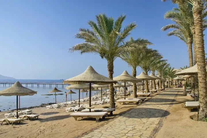Шарм-эш-Шейх (Шарм-эль-Шейх): Tamra Beach Resort