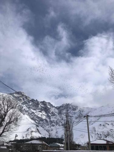Степанцминда: Home Kazbegi