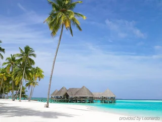 Северный атолл Мале: Gili Lankanfushi Maldives