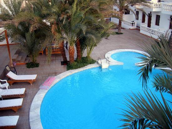 Дахаб: Octopus Resort