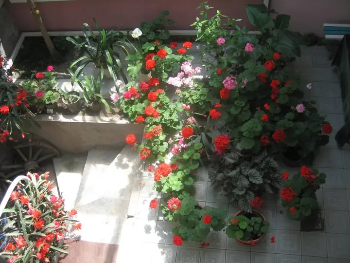 Дилижан: Dili Villa