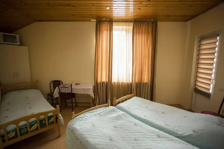 Бакуриани: Vila Vita Hotel