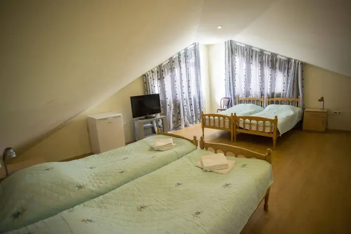 Бакуриани: Vila Vita Hotel