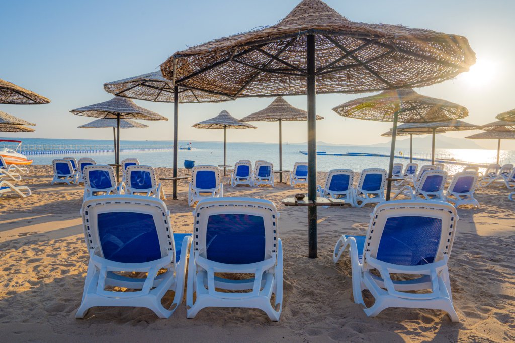 Шарм-эш-Шейх (Шарм-эль-Шейх): Ivy Cyrene Sharm Hotel