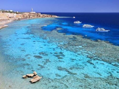 Шарм-эш-Шейх (Шарм-эль-Шейх): Aida Hotel Sharm El Sheikh