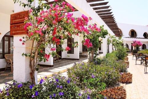 Шарм-эш-Шейх (Шарм-эль-Шейх): Aida Hotel Sharm El Sheikh