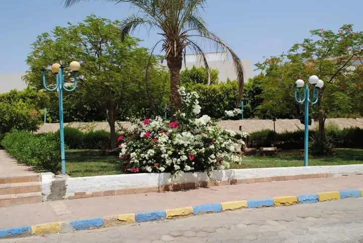 Шарм-эш-Шейх (Шарм-эль-Шейх): Sharm Cliff Resort